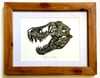 T. Rex skull in a Ravenwood Frame
