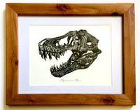 Image 1 of T. Rex skull in a Ravenwood Frame