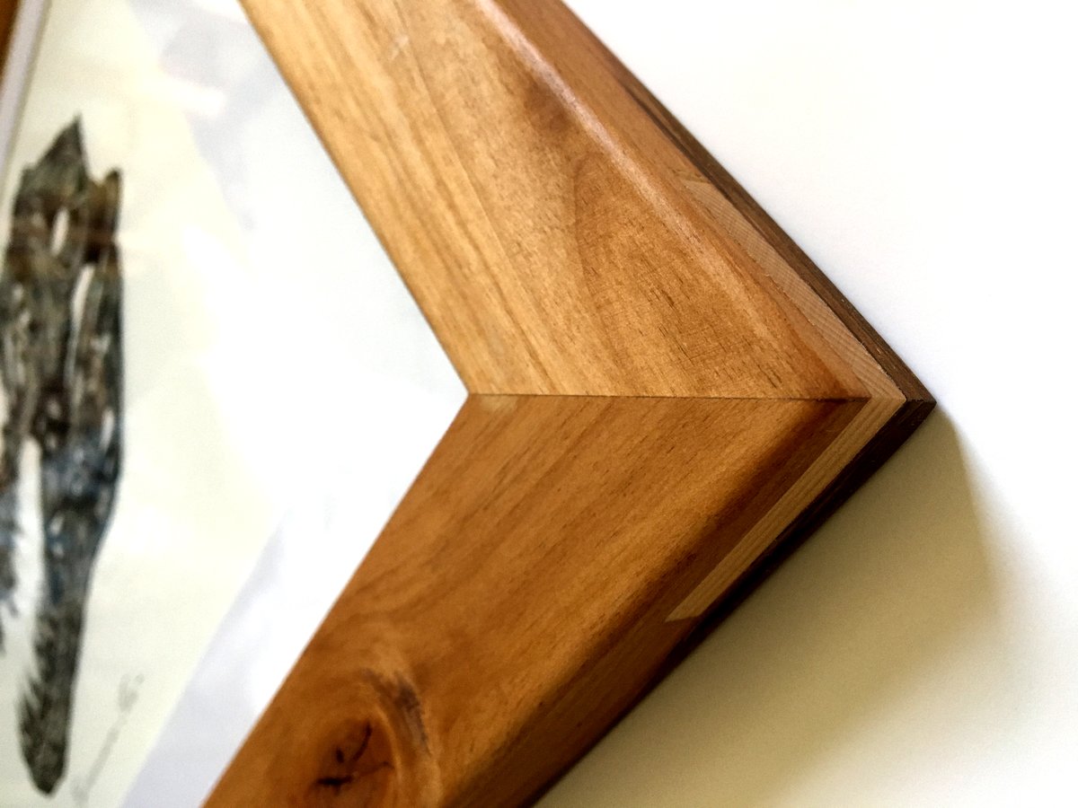 Image of T. Rex skull in a Ravenwood Frame