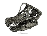 Image 3 of Brachiosaurus Skull in a Ravenwood Frame
