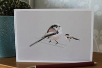 Image 2 of Long Tailed Tit Greeting Card