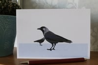 Image 2 of The Western Jackdaw Greeting Card