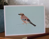 Image 2 of Jay Greeting Card