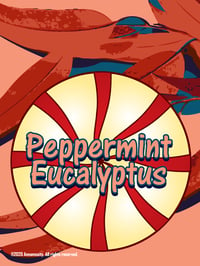 Image 1 of Peppermint Eucalyptus