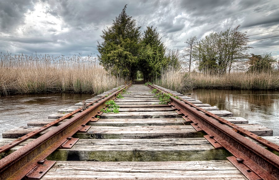 Image of Barren Tracks - 11 x 17 LUSTRE