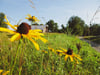 90% OFF Slow Living Prints