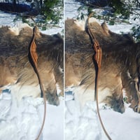 Image 5 of 2020-5: Tiger Oak Recurve