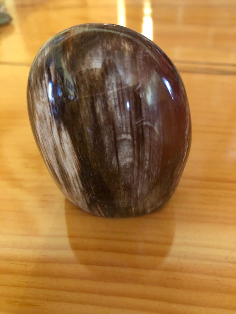 Image of Petrified Wood