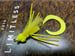 Image of Curly Tail Critter Bug Kit