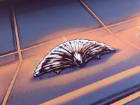 Image 2 of The Three Seashells (navy coral variant)
