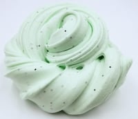 Mint Chocolate Chip