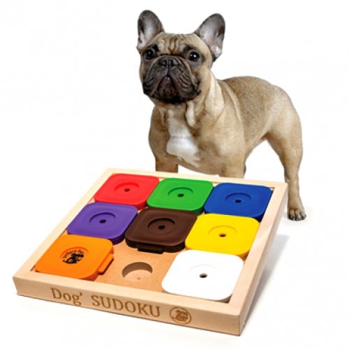 Dog' Sudoku Medium Expert Rainbow – My Intelligent Pets