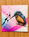 Kingfisher - 25% Off 