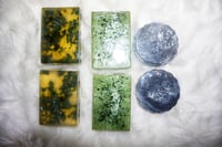 Earth's Love Variety Box