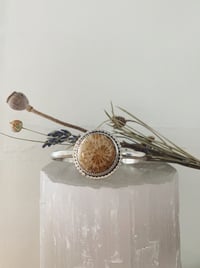 Image 1 of Coral Cuff