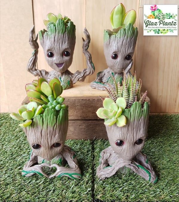 Image of Groot Planters