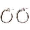 Sally hoops