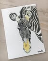 ZEBRA