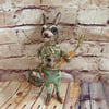 Country gentleman bunny