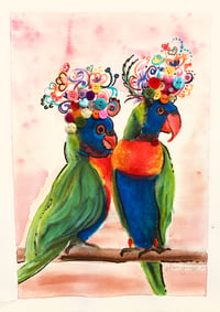 Image 1 of Frida Lorikeets 