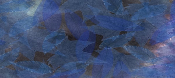 Image of Cashmere-Silk Blue Autumn Leaves Button Shawl