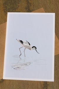 Image 1 of Avocet Fishing Greeting Card