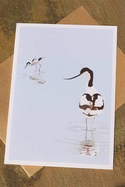 Image of Avocets Greeting Card