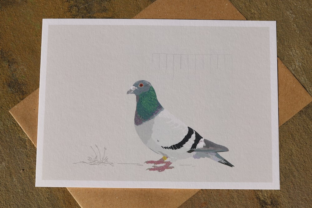 Image of Racing Pigeon Greeting Card