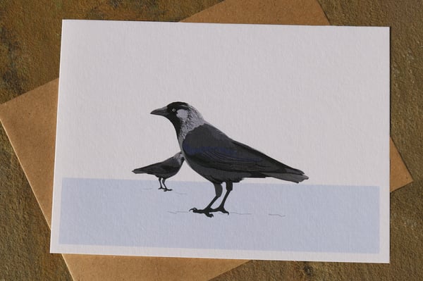 Image of The Western Jackdaw Greeting Card