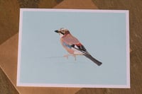 Image 1 of Jay Greeting Card