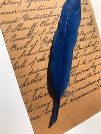 Image 3 of Feather and Script 
