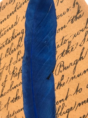 Image of Feather and Script 