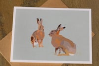 Image 1 of Brown Hares
