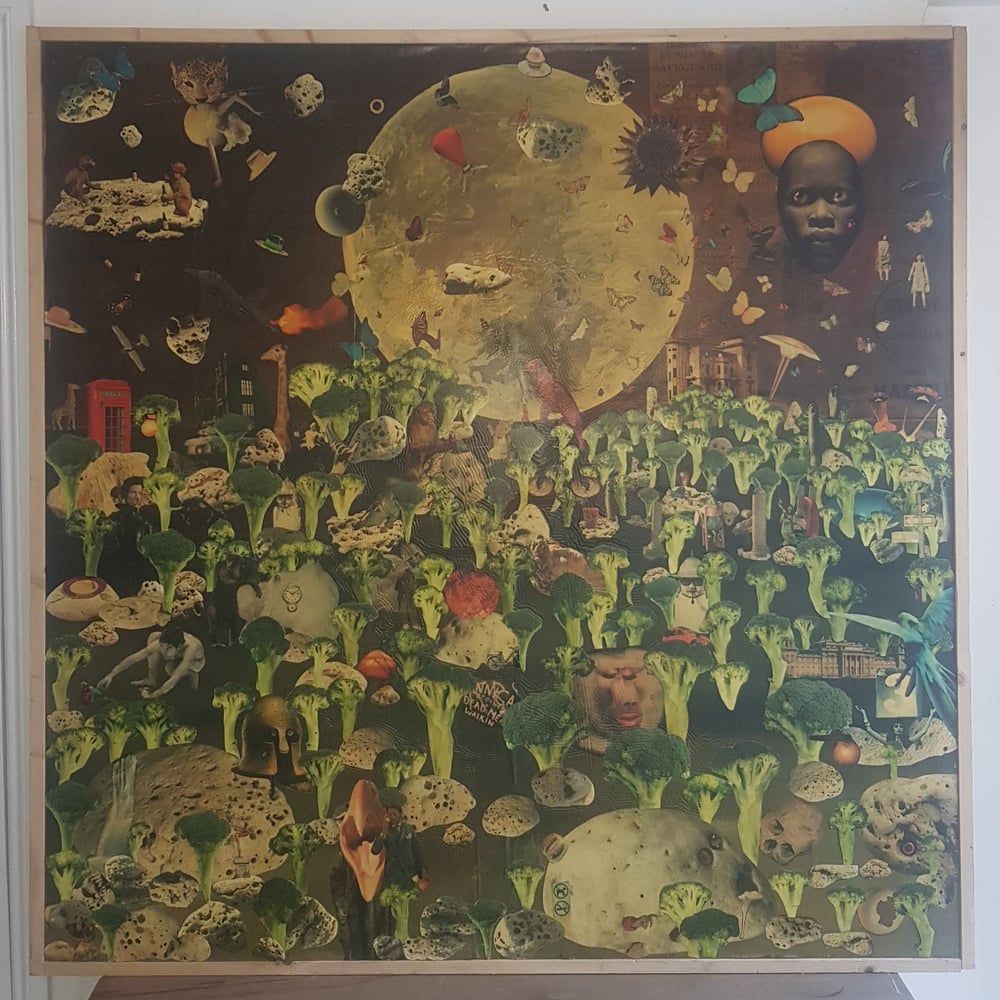Image of Broccoli Jungle (2006)