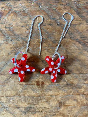 Image of Starfish Earrings