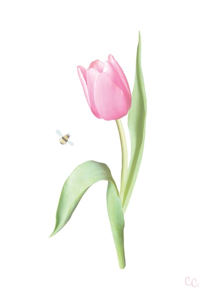 Image of Tulip Print