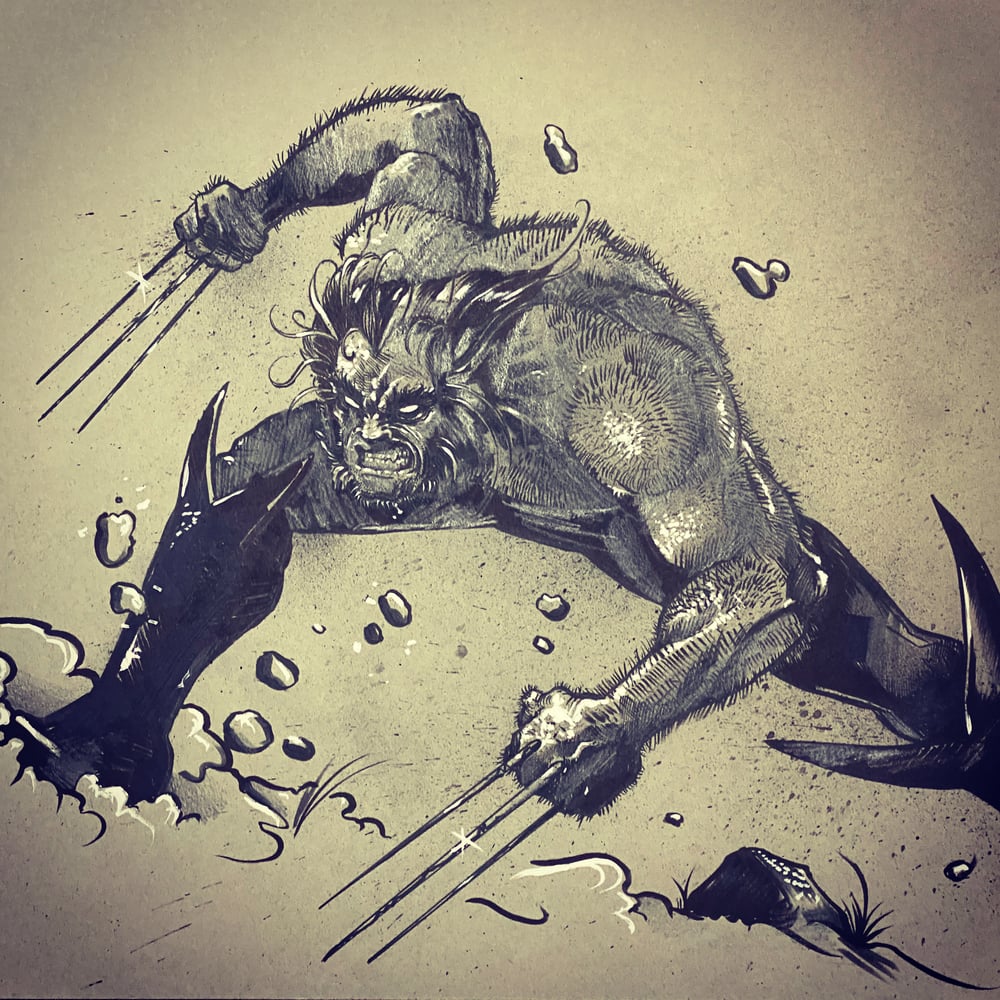 Image of Wolverine 18 x 24 sketch