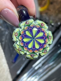 Image 2 of Stellar slyme 