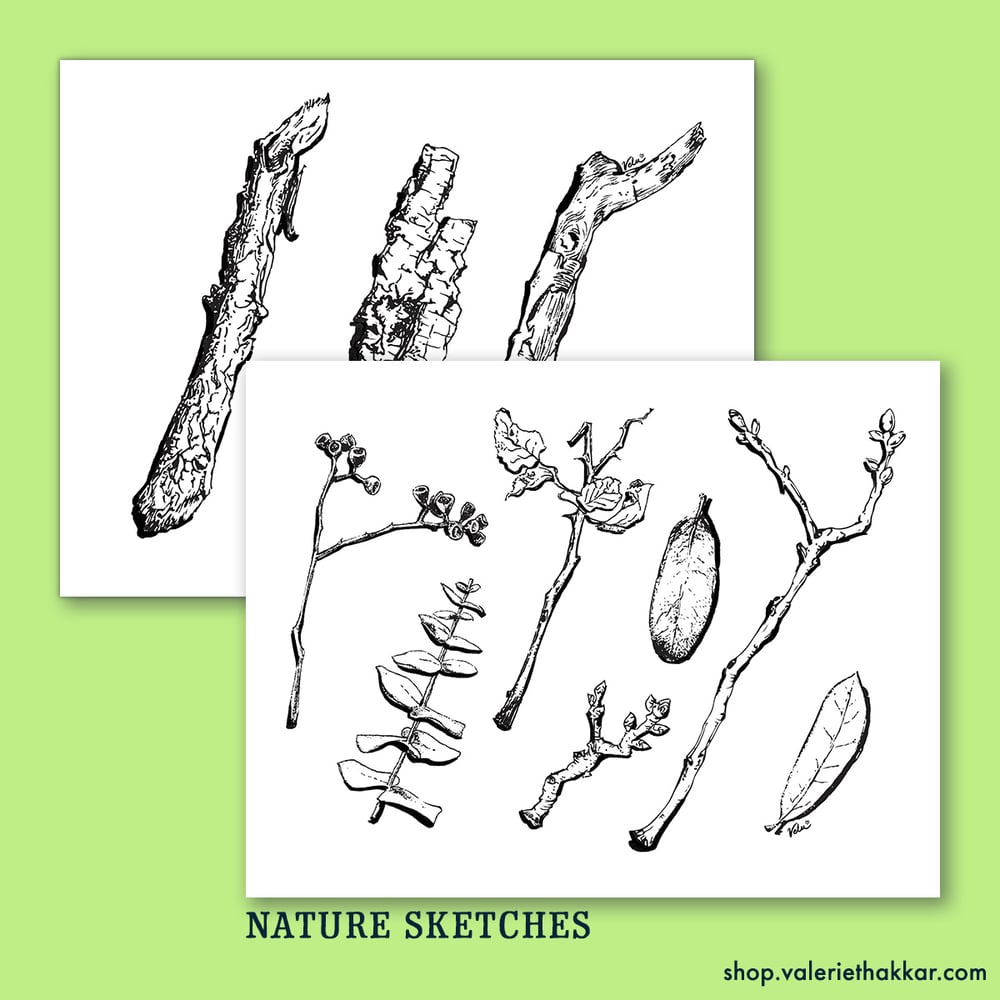 Image of Nature Coloring Pages - Downloadable