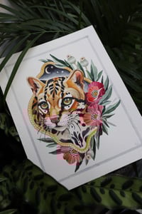 Poppy cat - original painting watercolor