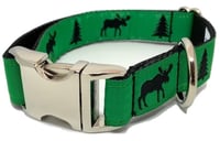 Moose - Dog Collar