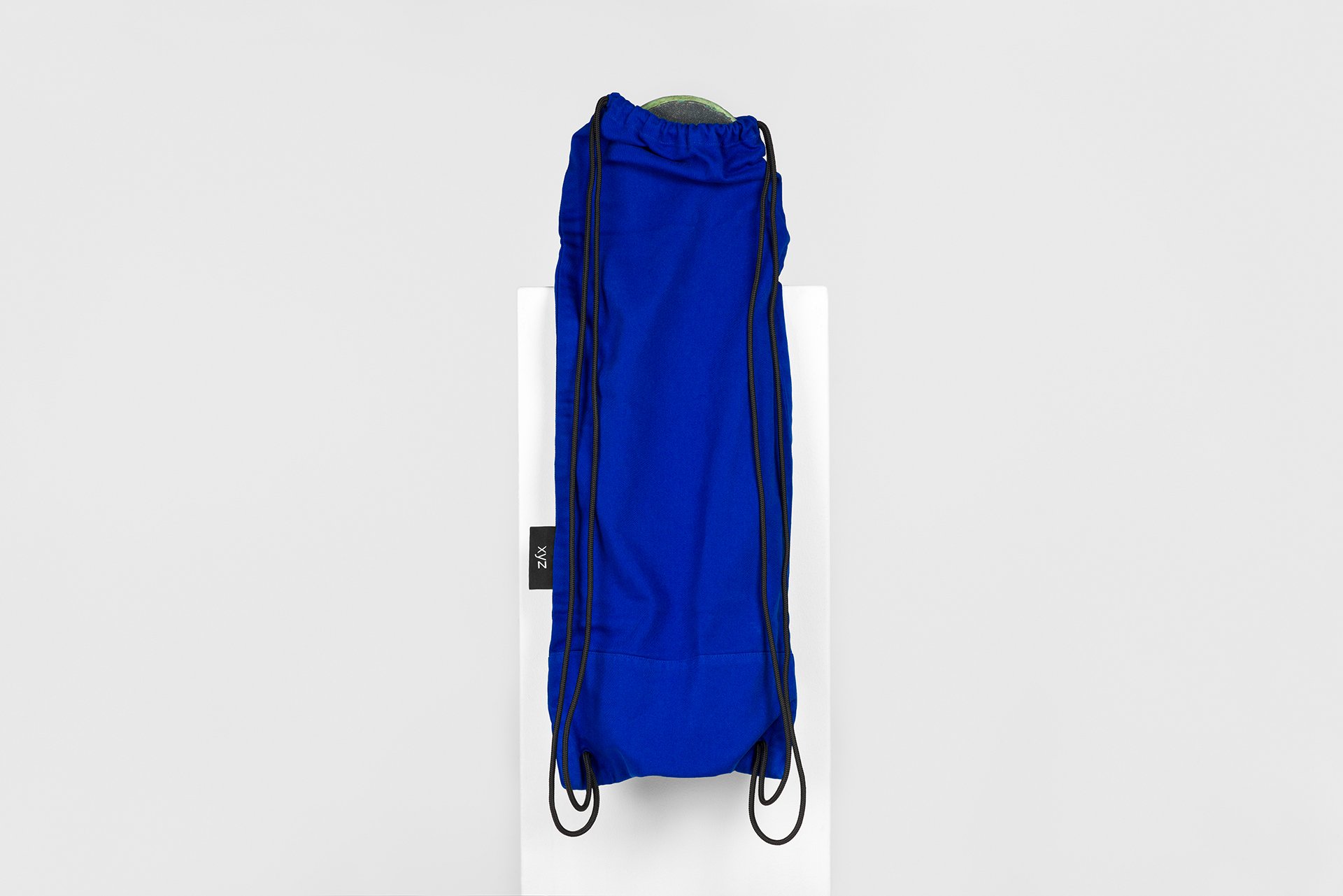 Image of blue skate bag