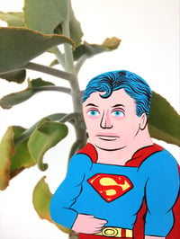 Image 2 of Superman Plant Hero