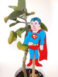 Image 3 of Superman Plant Hero