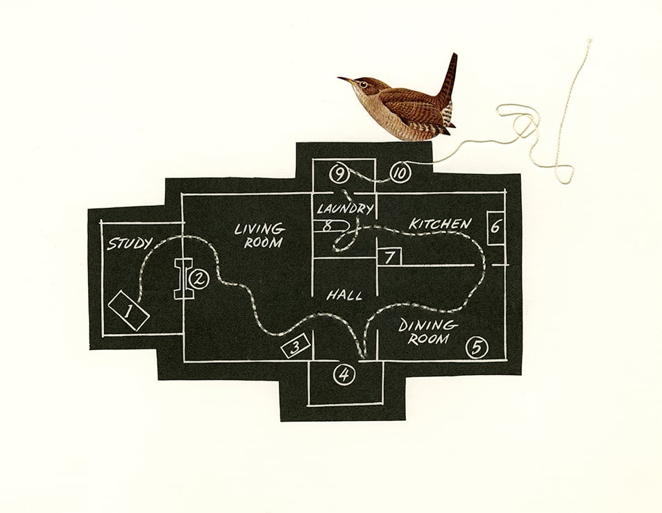 Image of Building plans of the typical house wren. Limited edition collage print.