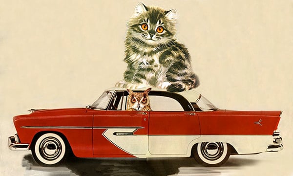 Image of The owl and the pussycat. Limited edition collage print.