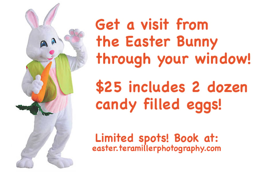 Image of Easter Bunny Visits Carl Junction School District April 5!