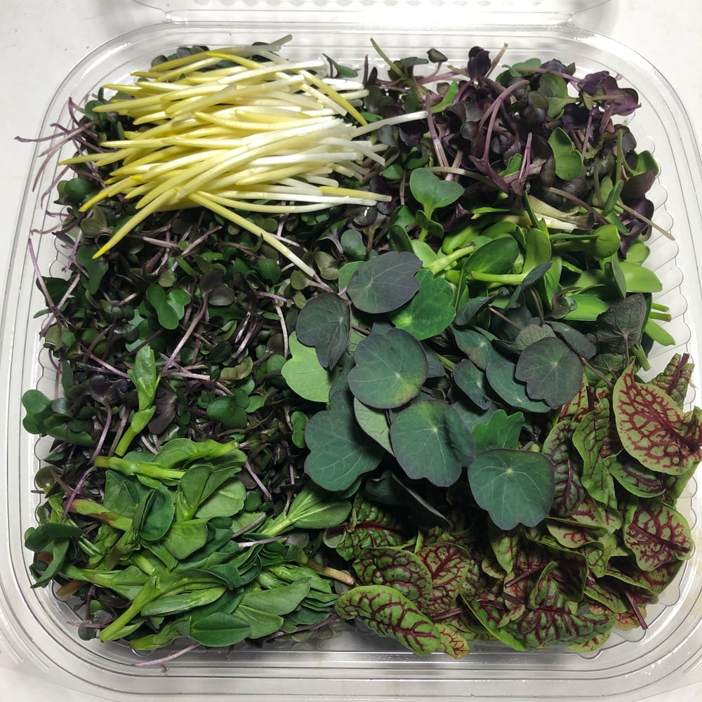 Image of 1 Year Subscription of Microgreens delivered weekly *Local Delivery Only FREE
