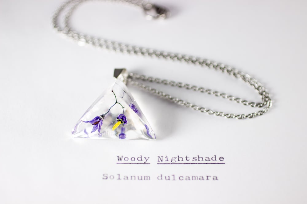 Image of Woody Nightshade (Solanum dulcamara) - Prism Necklace #8