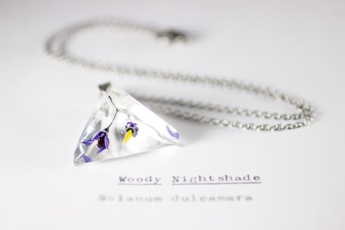 Image of Woody Nightshade (Solanum dulcamara) - Prism Necklace #8